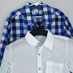 Gymboree Blue and White Button Down Shirts for Casual Elegance